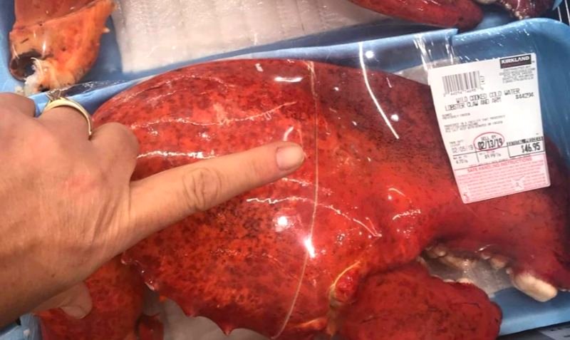 Costco is Selling MASSIVE Lobster Claws and Asian Moms Are Already on the Way