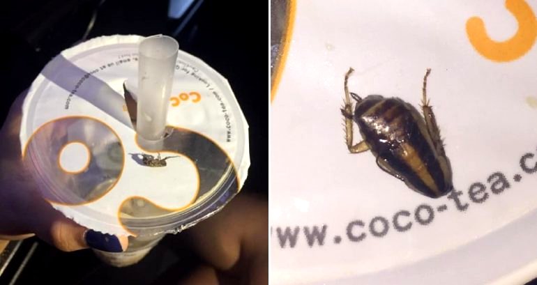 Filipina ‘Milk Tea Lover’ C‌lai‌‌m‌s She Found a Co‌ckr‌oa‌ch in Her CoCo Milk Tea