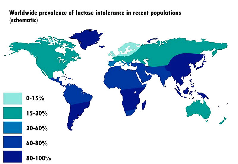 Intolerance No More