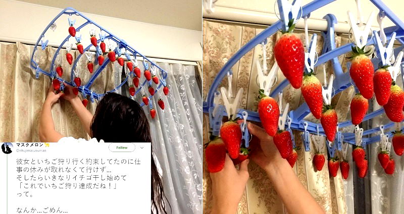 He Couldn’t Get Off Work to Pick Strawberries, So His Girlfriend Brought the Strawberry Field to Him