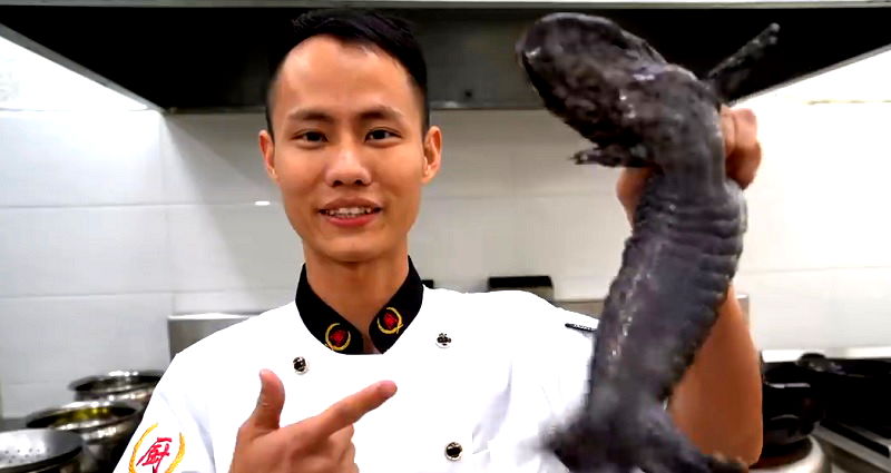 YouTube Chef Blasted After Cooking ‘Endangered’ Salamander