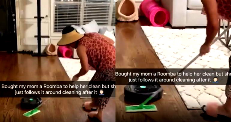 What Happens When an Asian Mom Gets a Roomba