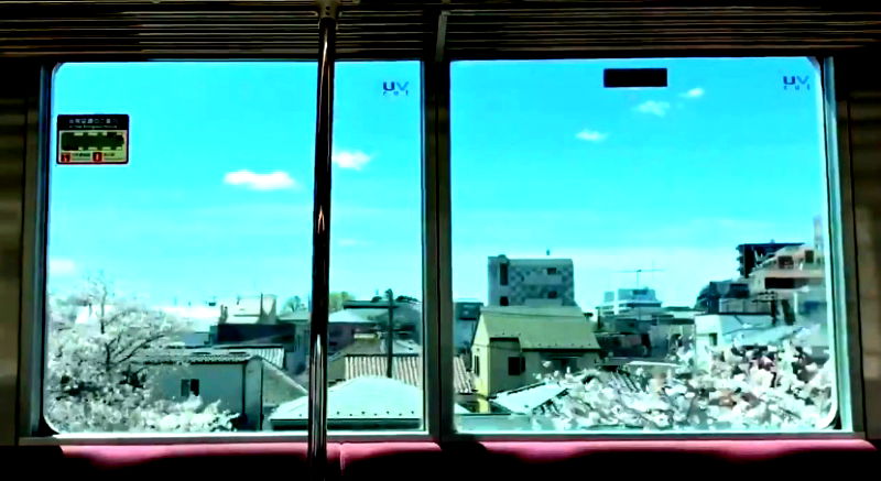 A train ride in Tokyo, Japan is catching the attention of many users on social media with their stunning views of cherry blossoms from the windows resembling a magical scene from an anime show.