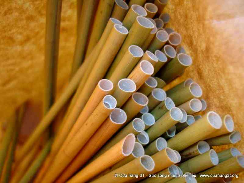 A young Vietnamese man fulfills his part in saving the planet from plastic by making biodegradable straws out of wild grass.