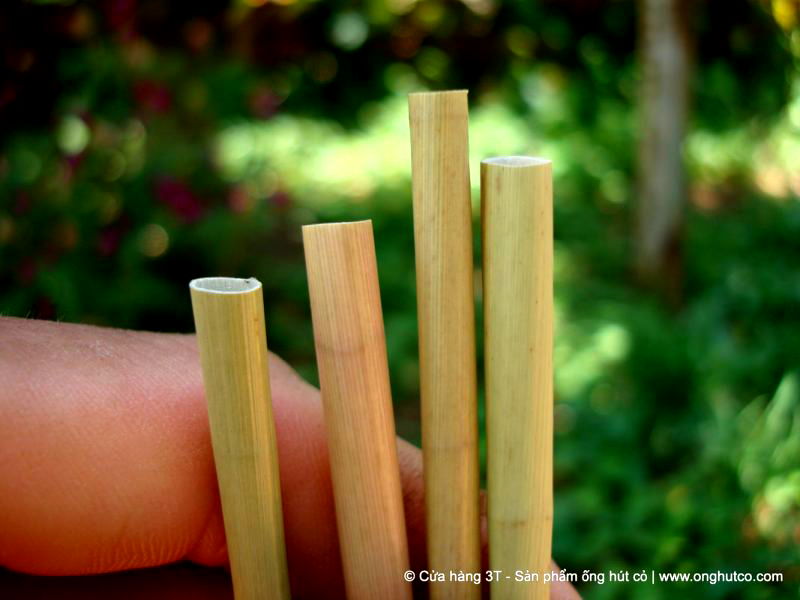 A young Vietnamese man fulfills his part in saving the planet from plastic by making biodegradable straws out of wild grass.