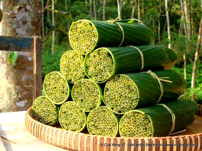 A young Vietnamese man fulfills his part in saving the planet from plastic by making biodegradable straws out of wild grass.