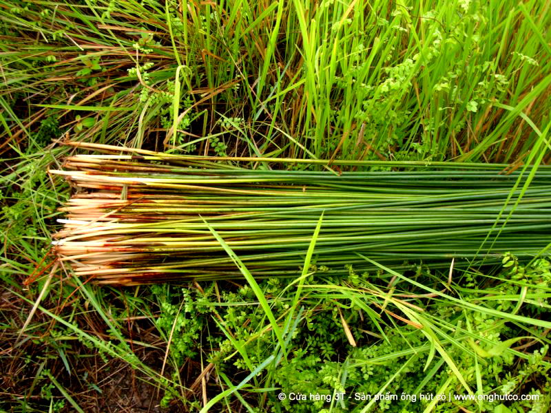 A young Vietnamese man fulfills his part in saving the planet from plastic by making biodegradable straws out of wild grass.