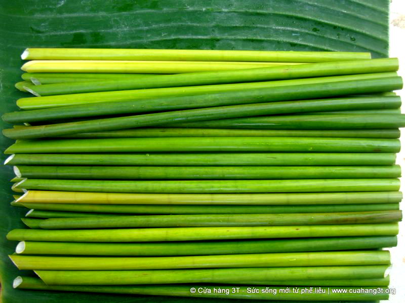 A young Vietnamese man fulfills his part in saving the planet from plastic by making biodegradable straws out of wild grass.