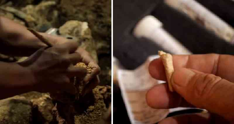 New Species of Ancient Humans Discovered in the Philippines