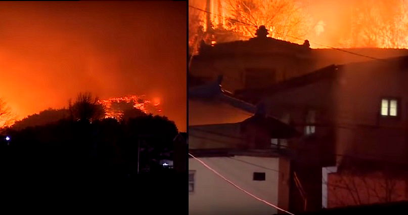 South Korea Declares ‘State of National Disaster’ After Wildfire Burns Down Cities