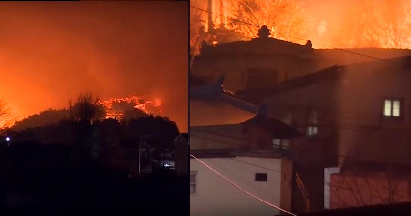 South Korea Declares ‘State of National Disaster’ After Wildfire Burns Down Cities