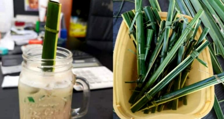 Cafe in the Philippines Now Uses Straws Made Out of Coconut Leaves to Cut Plastic Waste