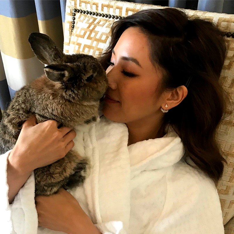 “Crazy Rich Asians” and “Fresh Off the Boat” star, Constance Wu, is making headlines again and this time various sources have claimed that she allegedly let her pet rabbit make a huge mess inside the $6.5 million penthouse that she rented.