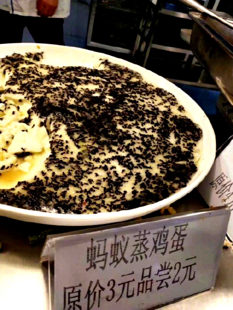 The cafeteria of a university in eastern China has gone viral on social media after serving steamed eggs with ants for extra crunch.