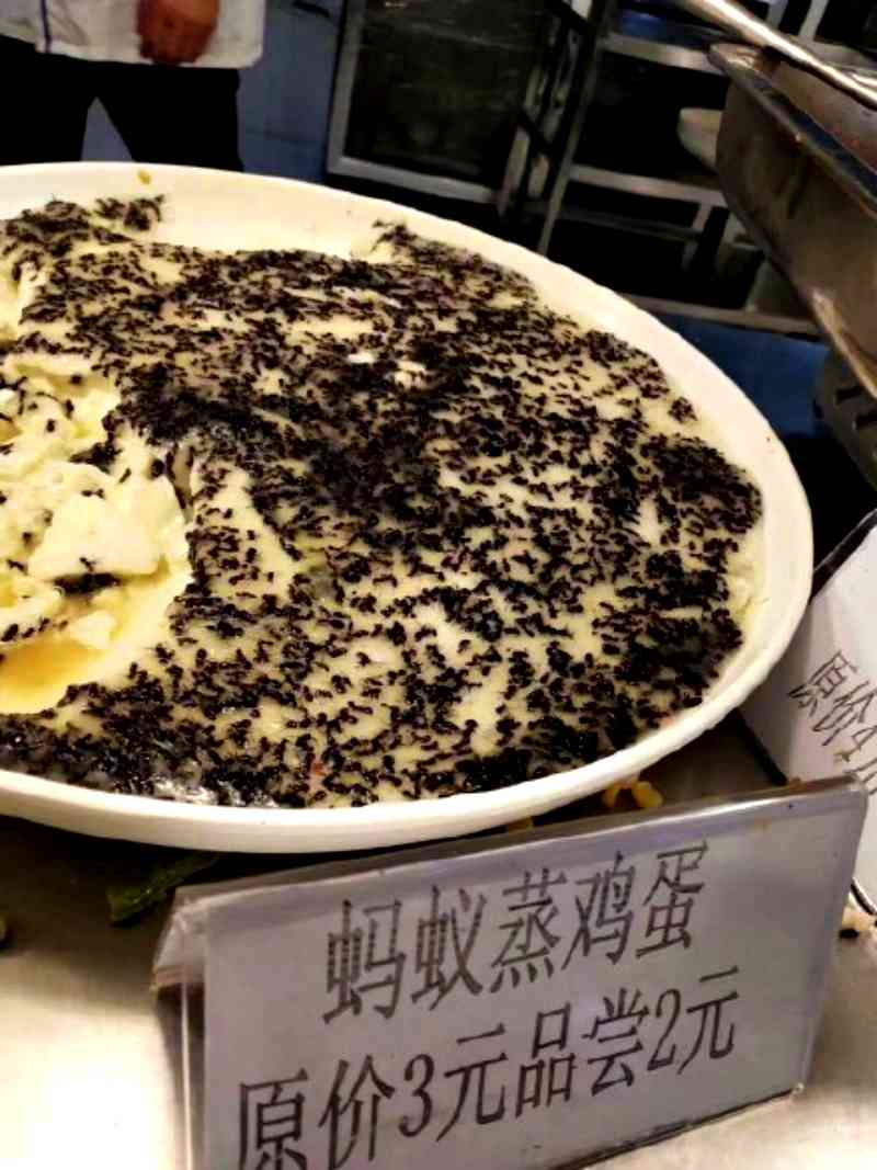 The cafeteria of a university in eastern China has gone viral on social media after serving steamed eggs with ants for extra crunch.