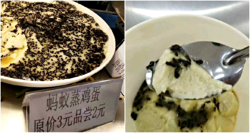 Chinese University Serves Popular Steamed Eggs With ANTS for Extra Crunch
