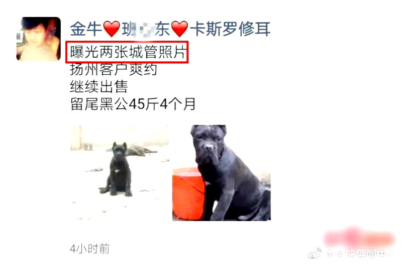 Police detained a man in eastern China for using public occupations to name his pet dogs.