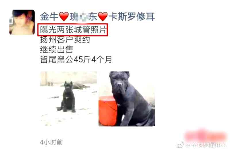 Police detained a man in eastern China for using public occupations to name his pet dogs.