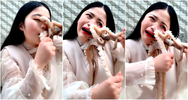 Octopus Fights Chinese Livestreamer After She Tries to Eat it Alive on Camera