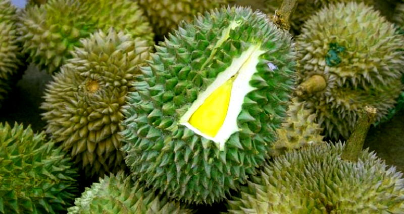 Library Evacuated After People Mistake Durian Smell For Leaking Gas