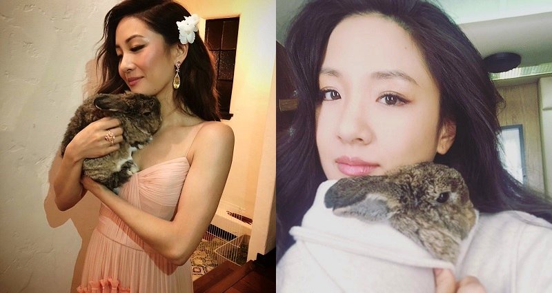 Constance Wu Allegedly Allowed Pet Rabbit to Poop, Pee Anywhere in $6.5 Million Rented Penthouse