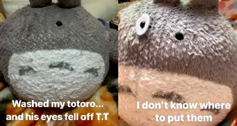 Woman Loses Her Totoro’s Eyes, Asks the Internet for Help