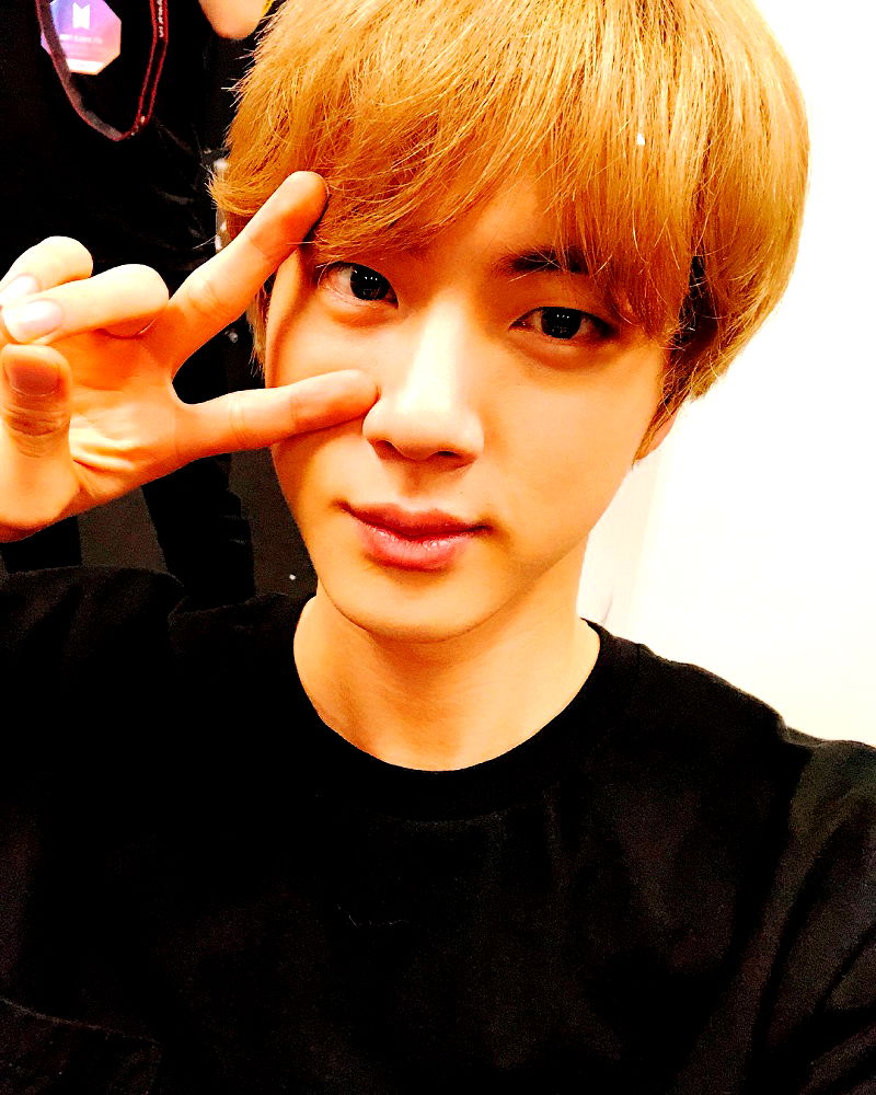 BTS member Jin has apparently become a member of UNICEF’s Honors Club for his donations since last May.