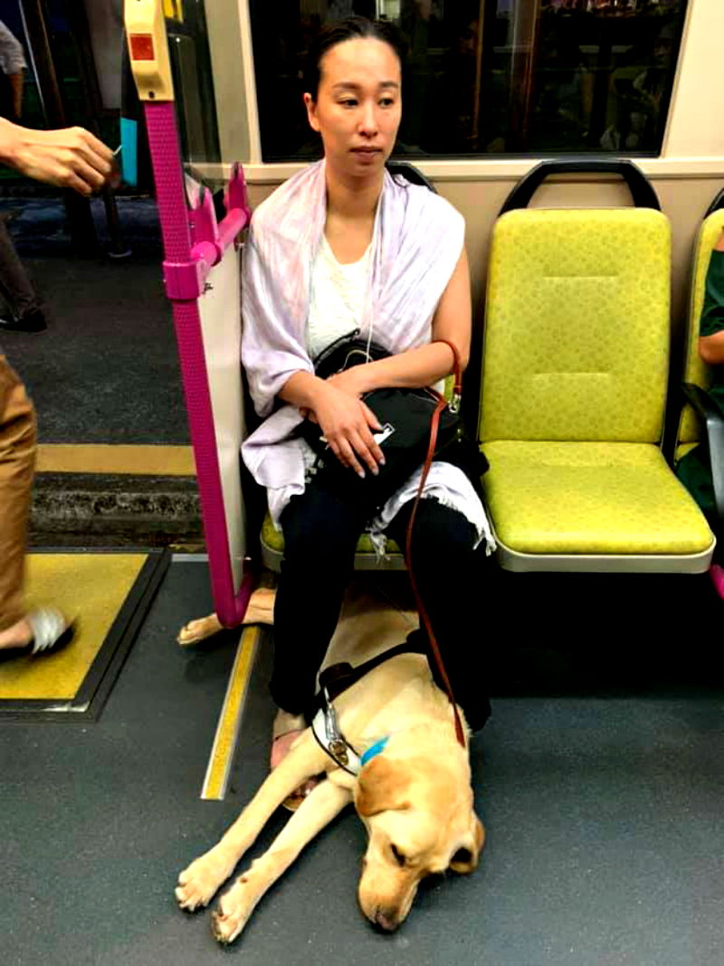 A blind woman commuting with her young daughter and a guide dog in Singapore nearly missed their bus as another passenger became irritated at the sight of the canine and attempted to prevent them from boarding.