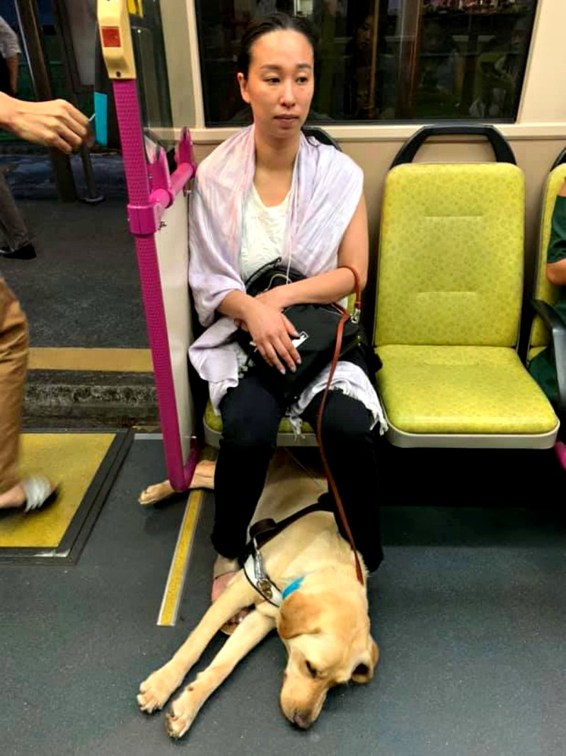 A blind woman commuting with her young daughter and a guide dog in Singapore nearly missed their bus as another passenger became irritated at the sight of the canine and attempted to prevent them from boarding.