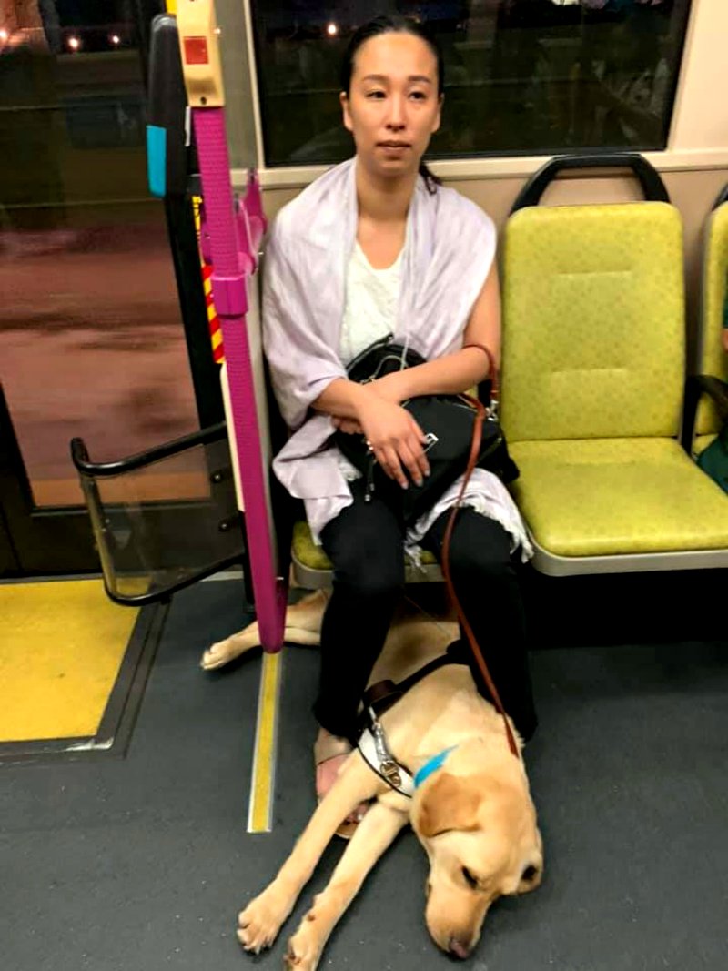 A blind woman commuting with her young daughter and a guide dog in Singapore nearly missed their bus as another passenger became irritated at the sight of the canine and attempted to prevent them from boarding.