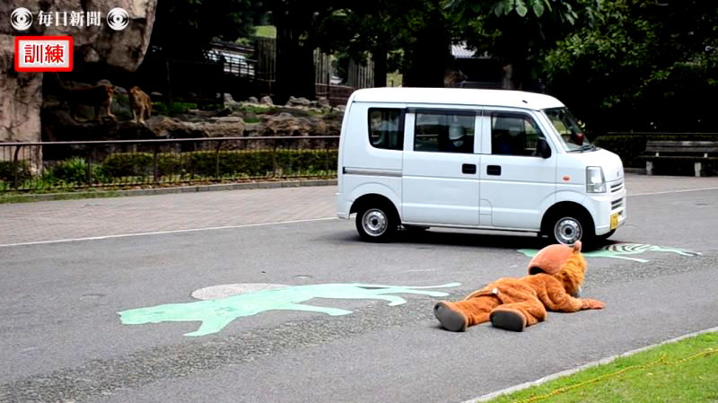 A drill preparing workers at a zoo in Ehima, Japan for an escaped lion has become the laughingstock of the internet over the weekend.