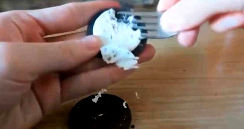 A Chinese YouTuber who tricked a homeless man into eating Oreos filled with toothpaste to “clean his teeth” was sentenced to 15 months in prison last week.