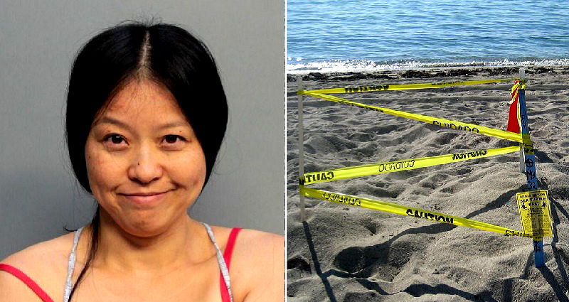 Woman Arrested for Stomping on Sea Turtle Nest in Miami Beach