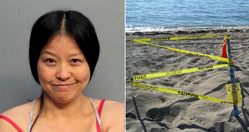 Woman Arrested for Stomping on Sea Turtle Nest in Miami Beach