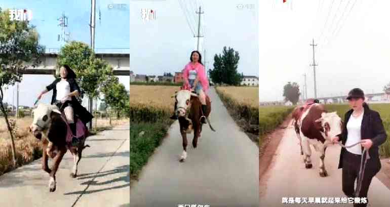 Chinese Farm Girl Rides Cows Around Town Because Horses Are Expensive