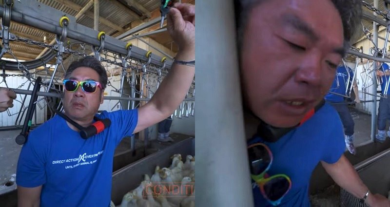 Animal Rights Activist Almost Gets Head Cut Off While Protesting at Duck Farm