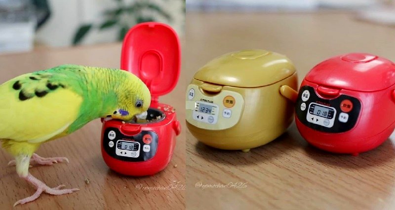 Tiny Rice Cooker Collectibles Are Perfect for Rice Enthusiasts