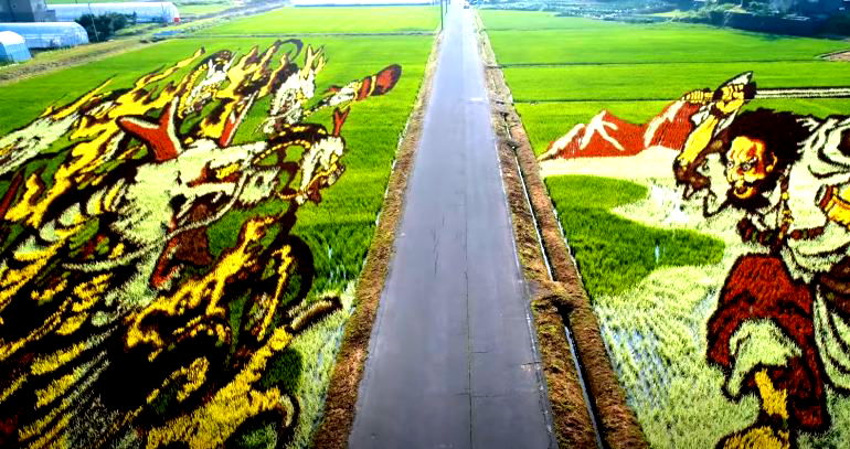 This Japanese Village Grows Beautiful Murals Made of Different Colored Rice