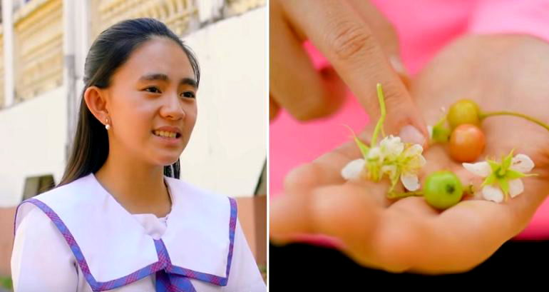Young Filipino Scientist Finds Potential Type 2 Diabetes Cure in Tropical Fruit