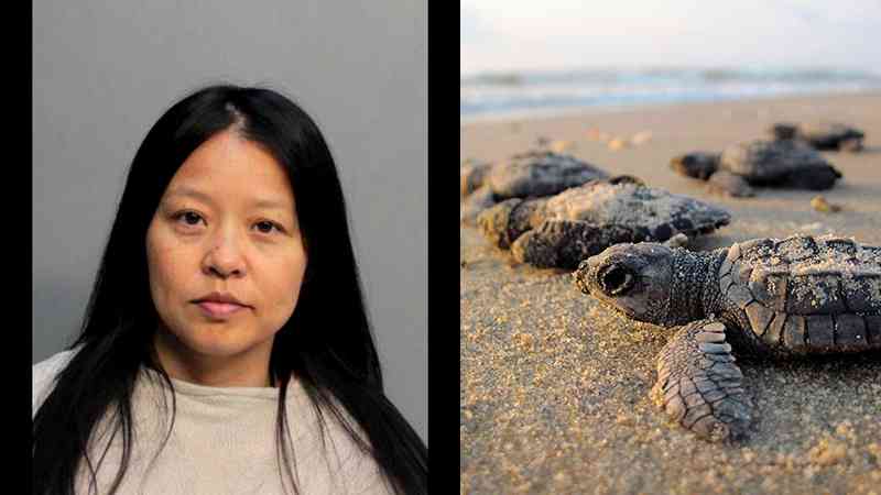 Woman Who Stomped on Sea Turtle Nest Arrested Again Trying to Leave the Country