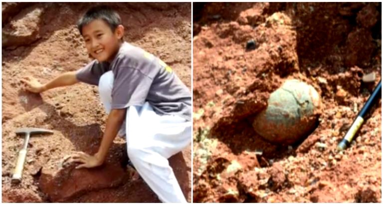 Chinese Boy Obsessed with Science Discovers 66-Million-Year-Old Dinosaur Eggs While Playing