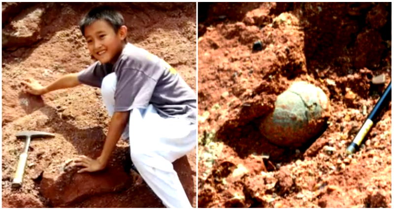 Chinese Boy Obsessed with Science Discovers 66-Million-Year-Old Dinosaur Eggs While Playing