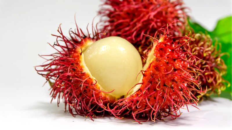 Netflix series “Another Life” had apparently used rambutan, a fruit commonly found in southeast Asia, as an alien fruit.
