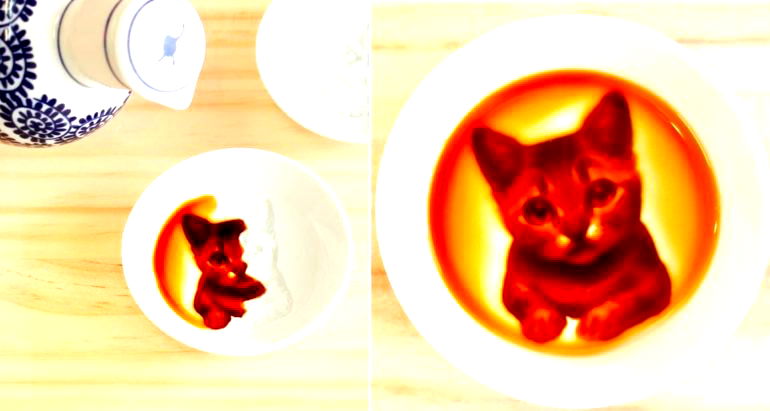 Japanese Company Makes 3D Soy Sauce Plates that Reveal Gorgeous ‘Hidden Paintings’