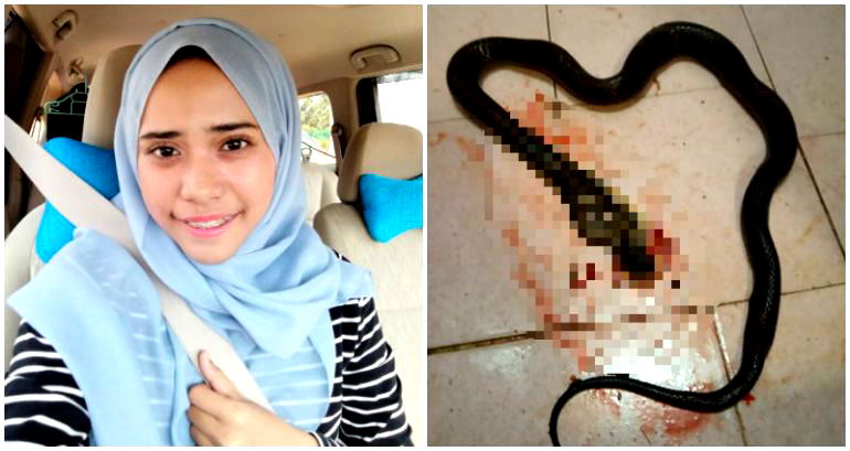 Woman Beats a Cobra to Death With a Ladle After Fighting With Her Boyfriend