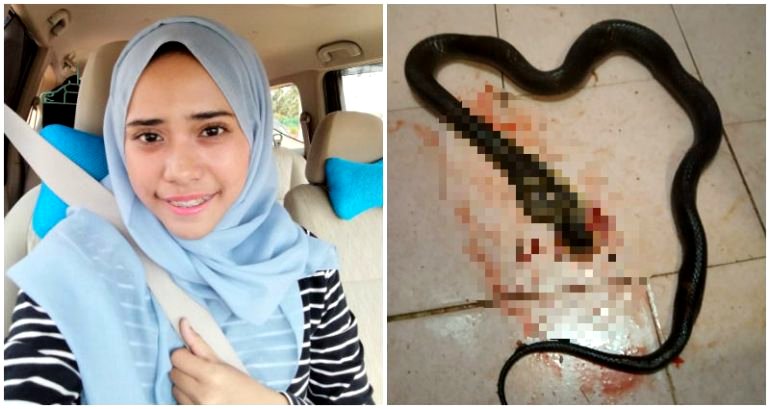 Woman Beats a Cobra to Death With a Ladle After Fighting With Her Boyfriend