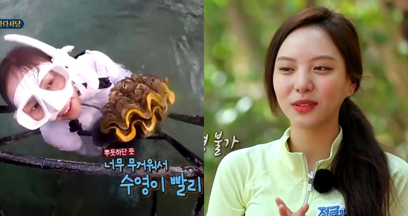 Thailand Accuses Korean Reality Show of Disturbing Endangered Giant Clam for Scene