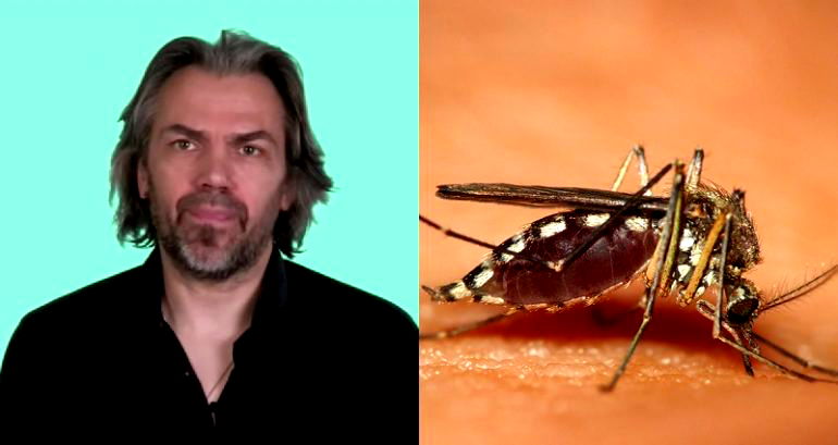 French Journalist Urges People Not to Kill Mosquitoes as Deadly Dengue Outbreak Plagues South East Asia