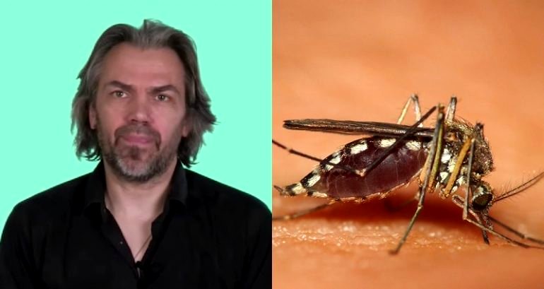 French Journalist Urges People Not to Kill Mosquitoes as Deadly Dengue Outbreak Plagues South East Asia
