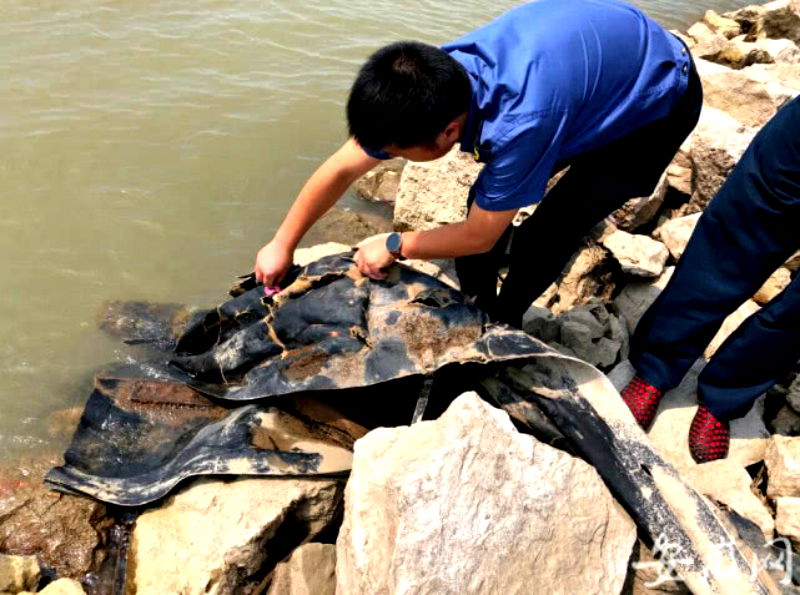 An unknown, serpent-like object slithering up the Yangtze River has social media users speculating that China may have spawned its very own Loch Ness Monster.